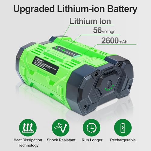 DTK Replacement Battery 56V, BA1400/BA2800/BA4200 Compatible for EGO: Lightweight and Portable